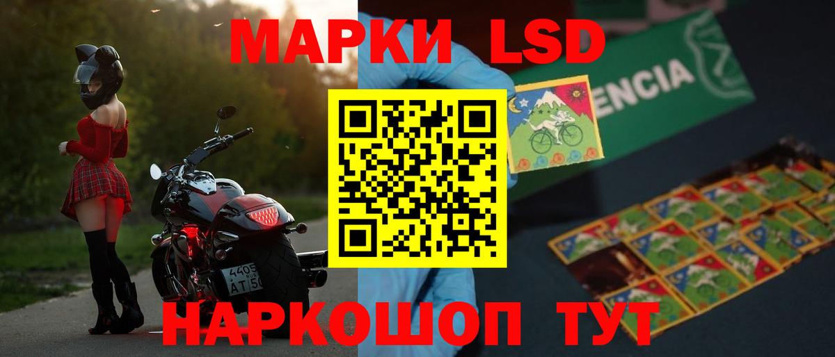 Большой Камень  ЛСД экстази ecstasy  Вход с VPN 