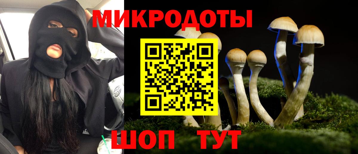 Большой Камень  Псилоцибиновые грибы Cubensis  Вход с VPN  Галлюциногенные грибы прущие грибы 